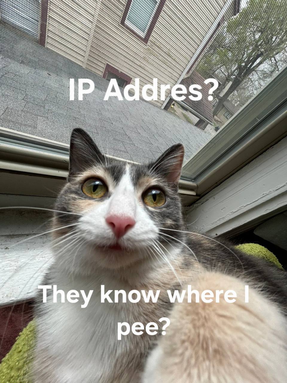 Hosted Image